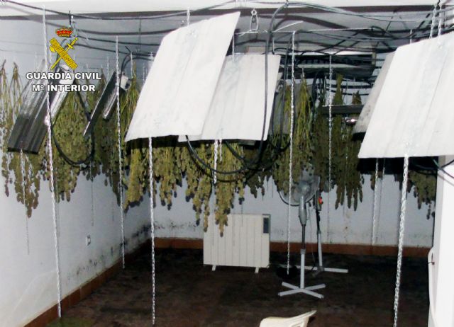 La Guardia Civil desmantela un invernadero clandestino de cultivo de marihuana en Ricote - 2, Foto 2