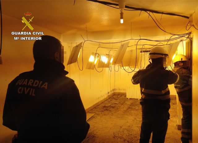 La Guardia Civil desmantela un invernadero clandestino de cultivo de marihuana en Ricote - 3, Foto 3