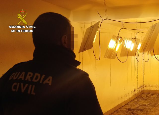 La Guardia Civil desmantela un invernadero clandestino de cultivo de marihuana en Ricote - 4, Foto 4
