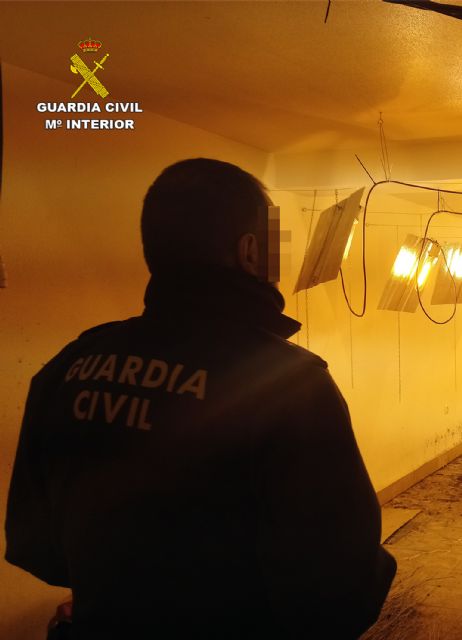 La Guardia Civil desmantela un invernadero clandestino de cultivo de marihuana en Ricote - 5, Foto 5
