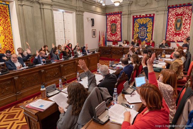El pleno deja patente su apoyo al Día de las Enfermedades Raras en una declaración institucional - 1, Foto 1