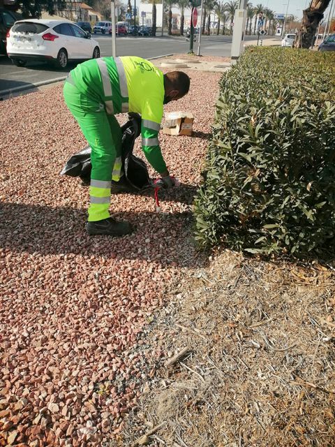 El Ayuntamiento mejora la calidad ambiental y la seguridad vial de los vecinos a través del Plan de Medianas y Rotondas - 1, Foto 1