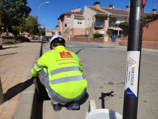 El Ayuntamiento de Murcia revisa los imbornales de la ciudad y pedanías para detectar mosquitos - 1, Foto 1