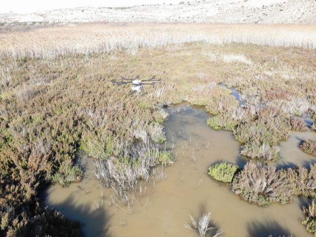 El Ayuntamiento de Murcia revisa los imbornales de la ciudad y pedanías para detectar mosquitos - 2, Foto 2