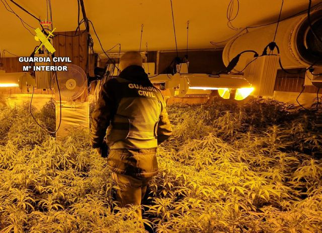 La Guardia Civil desmantela en Mazarrn un cultivo ilcito de marihuana, Foto 1