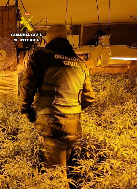 La Guardia Civil desmantela en Mazarrón un cultivo ilícito de marihuana - 3, Foto 3
