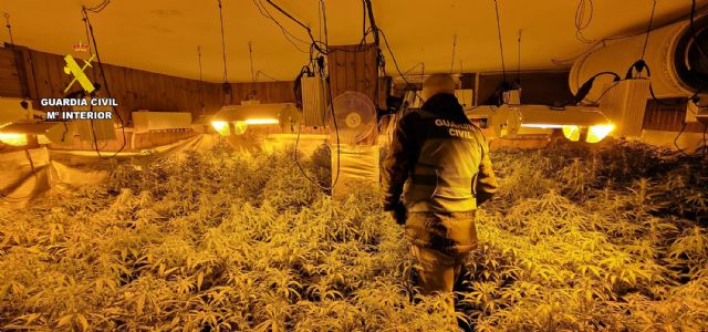 La Guardia Civil desmantela en Mazarrn un cultivo ilcito de marihuana, Foto 5
