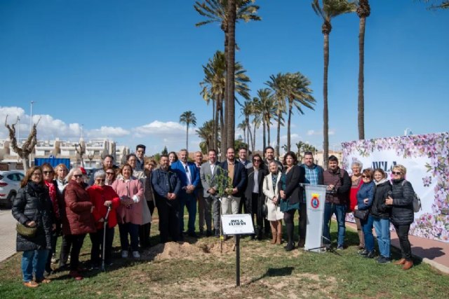 Mula y Los Alcázares se hermanan a través del almendro - 1, Foto 1