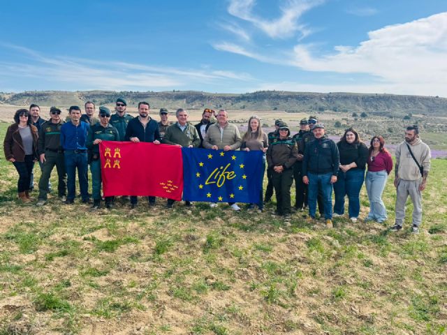 Las Tierras Altas consolidan a Lorca como enclave estratégico de la Región para la recuperación del lince ibérico con la suelta de dos ejemplares juveniles - 2, Foto 2