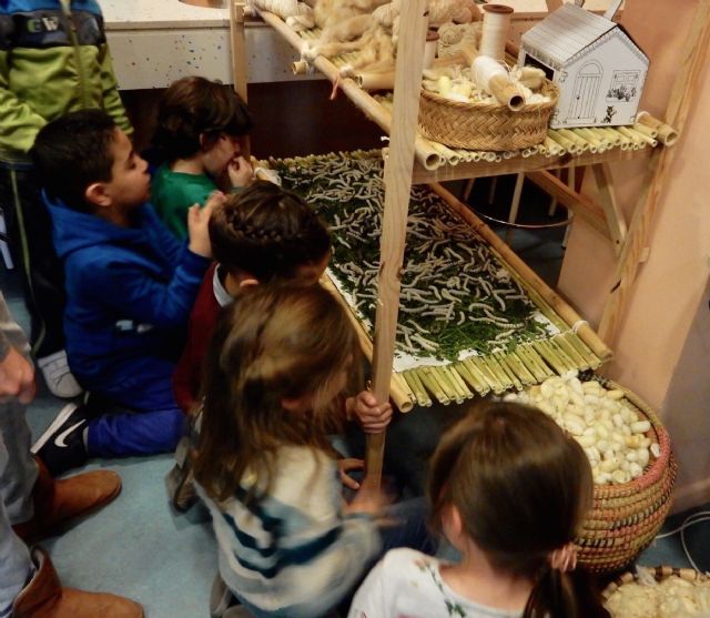 El Museo Arqueológico acoge esta semana el ciclo de conferencias 'Historia de la seda en Murcia' - 1, Foto 1