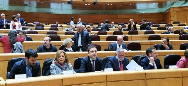 Educación propone en el Senado medidas de impulso a la calidad, incremento del éxito escolar y modernización de la FP - 1, Foto 1