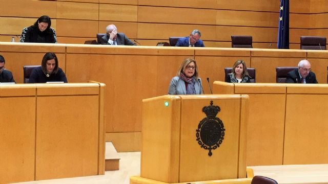 Educación propone en el Senado medidas de impulso a la calidad, incremento del éxito escolar y modernización de la FP - 2, Foto 2