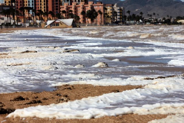 CTSSP exigirá junto a los colectivos vecinales la Ley Integral del Mar Menor - 2, Foto 2