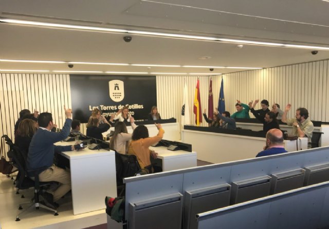 En sesión extraordinaria celebrada hoy el pleno del Ayuntamiento ha aprobado por unanimidad la siguiente DECLARACIÓN INSTITUCIONAL - 1, Foto 1