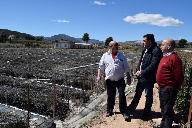 Ciudadanos denuncia que los agricultores de Cehegín afectados por el temporal siguen sin cobrar las ayudas prometidas por el Gobierno regional hace 14 meses - 1, Foto 1