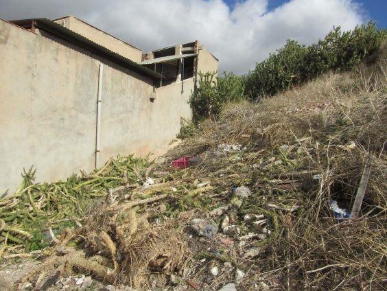 El Ayuntamiento de Lorca lleva a cabo la limpieza del Cabezo del Tesoro situado en el barrio de San Cristóbal para el desbroce y la retirada de basura - 2, Foto 2
