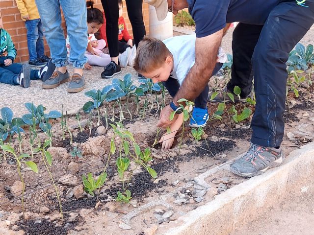 Los alumnos del colegio Hernández Ardieta de Roldán disfrutan de un nuevo huerto - 3, Foto 3