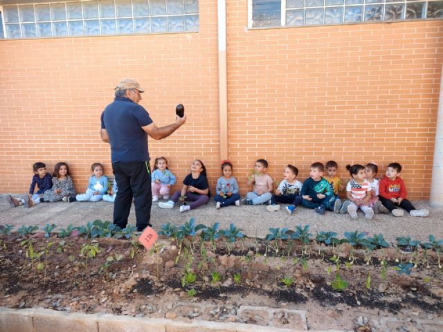 Los alumnos del colegio Hernández Ardieta de Roldán disfrutan de un nuevo huerto - 5, Foto 5