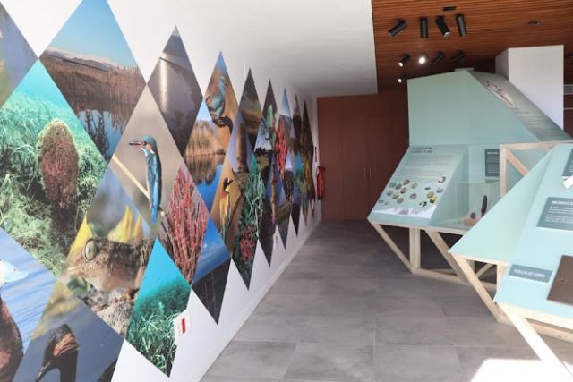 La botella de Punta Entinas - 1, Foto 1