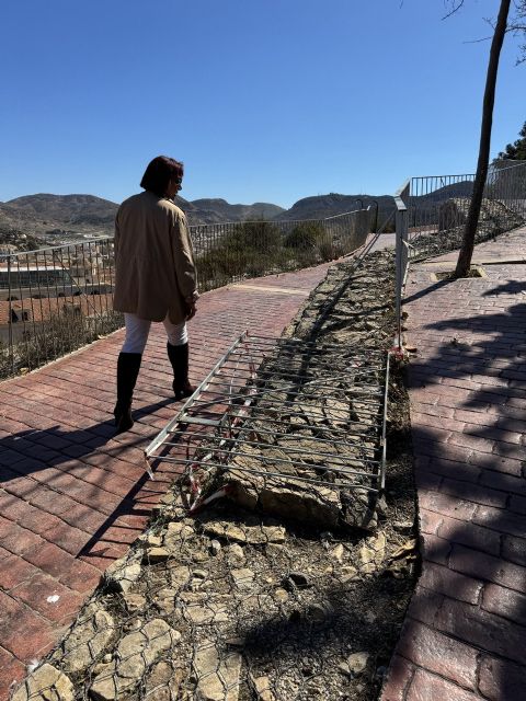 MC denuncia el declive y las numerosas deficiencias que presenta el Parque Torres - 1, Foto 1