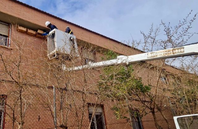 El Ayuntamiento combate las plagas de mosquitos en Lorca - 2, Foto 2