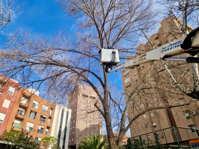 El Ayuntamiento combate las plagas de mosquitos en Lorca - 3, Foto 3