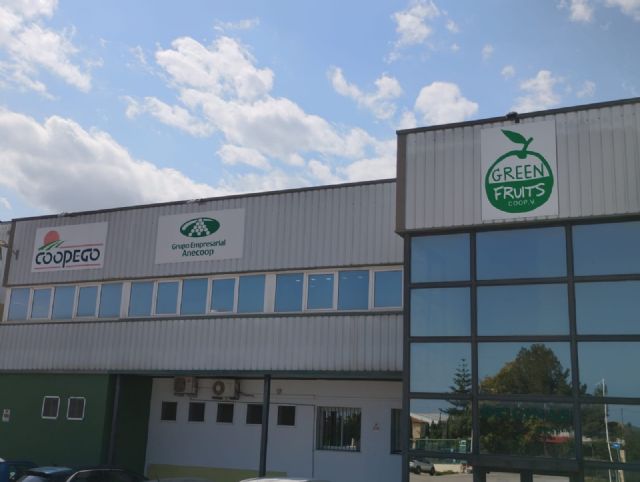 Las ventas del principal socio de cítricos de Anecoop alcanzan los 67 millones de euros - 3, Foto 3