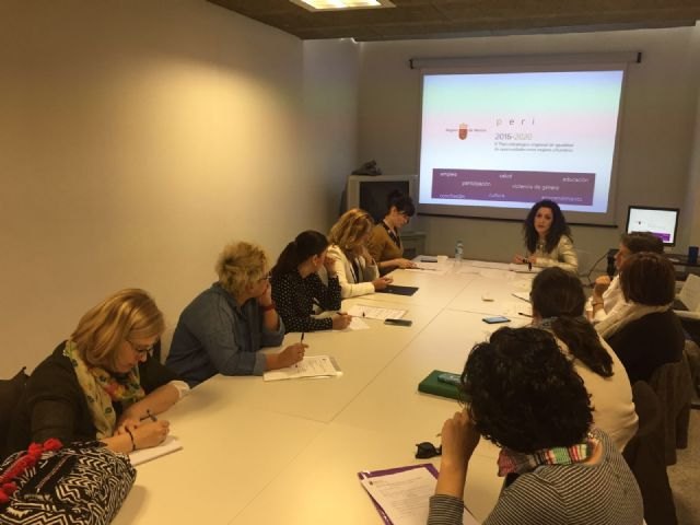 La Comunidad y el Tercer Sector colaboran en la redacción del Plan Estratégico de Igualdad de Oportunidades entre Mujeres y Hombres - 1, Foto 1