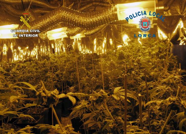 La Guardia Civil y la Policía Local desmantelan un invernadero de marihuana - 2, Foto 2