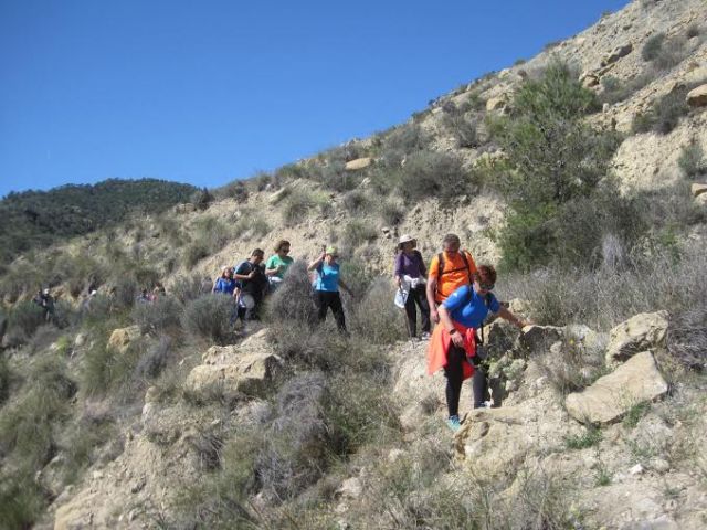 Unos 30 deportistas participan en la Ruta de Senderismo al paraje del Madroñal (Cieza), Foto 2