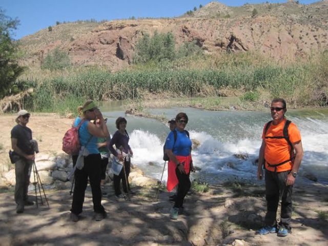 Unos 30 deportistas participan en la Ruta de Senderismo al paraje del Madroñal (Cieza), Foto 6