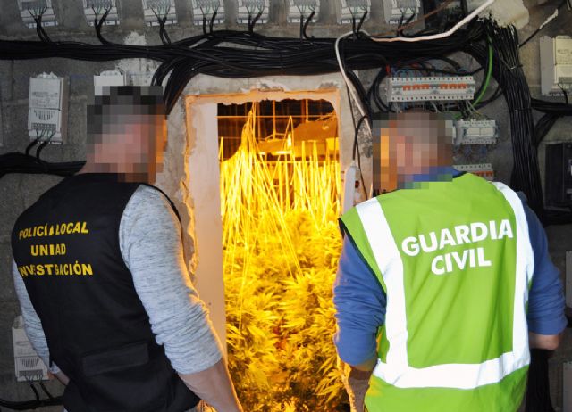 Operación SAN MARCOS. Desmantelan un invernadero de marihuana en una nave agrícola de Raiguero Alto-Totana, Foto 7