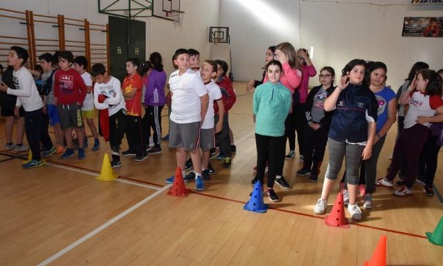 Finaliza la Fase Local de Voleibol Alevín de Deporte Escolar, Foto 8