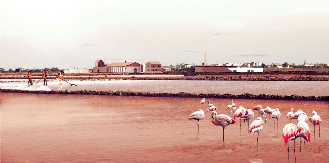 Una arquitecta por la UPCT propone recuperar la actividad salinera de Marchamalo impulsando el ecoturismo - 1, Foto 1