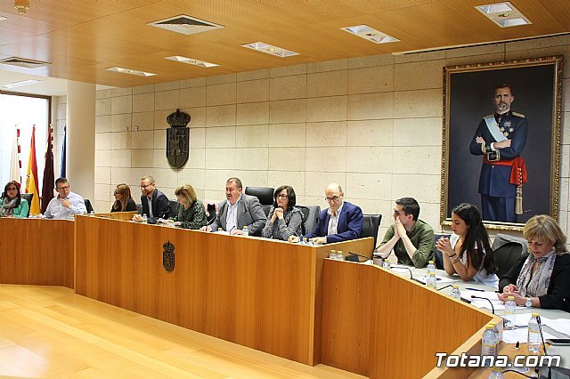 El Pleno acuerda exigir a Adif y al Ministerio de Fomento la retirada inmediata del nuevo trazado del AVE a su paso por Totana - 1, Foto 1
