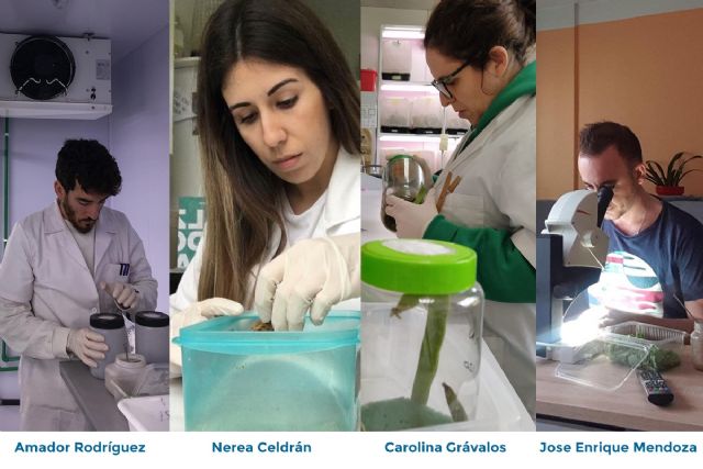 Tres personas alimentan durante el confinamiento a las 65 poblaciones de insectos de los laboratorios de la UPCT - 1, Foto 1