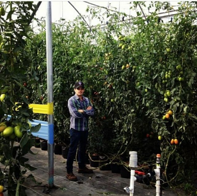 Treembo: Primera Plataforma de Agronegocios en México - 3, Foto 3