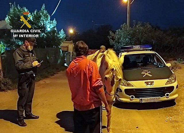 La Guardia Civil sorprende a una persona dando un paseo a caballo por La Unión - 1, Foto 1