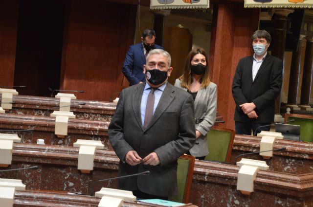 El GP Ciudadanos pide reformar el Código Civil para propiciar la custodia compartida como opción prioritaria en caso de ruptura familiar - 1, Foto 1