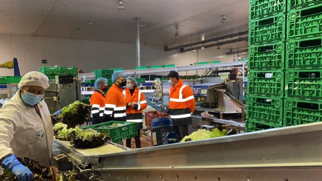 Agromediterránea exporta desde la Región de Murcia hortalizas frescas a 25 países de toda Europa - 5, Foto 5