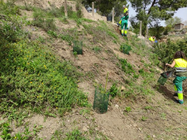 Mejoras en el humedal Charco del Zorro - 2, Foto 2