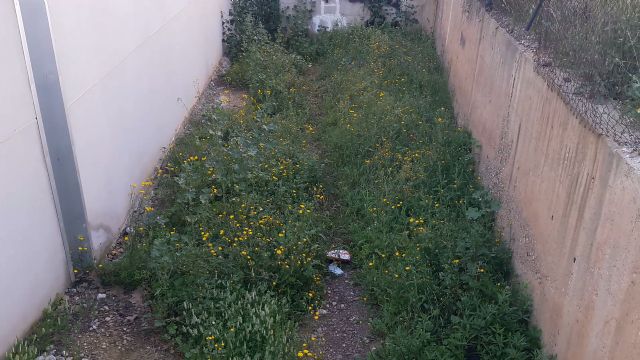 El PP exige el arreglo inmediato del recinto deportivo anexo al centro social de Río, que permanece plagado de excrementos, basura y maleza - 2, Foto 2