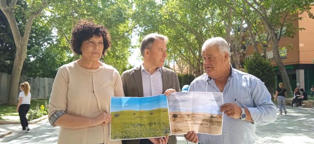 El Guadalentín propone un riego de socorro urgente para auxiliar a los miles de agricultores afectados por la sequía extrema que está arruinando los cultivos - 3, Foto 3