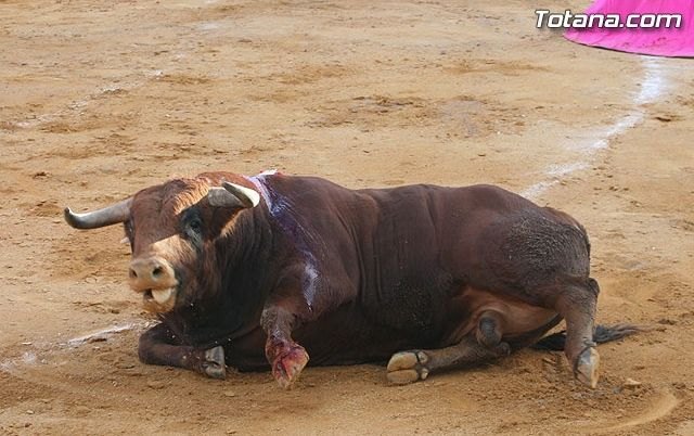 Proponen desconectar TVE cuando emita contenidos taurinos en la Región - 1, Foto 1