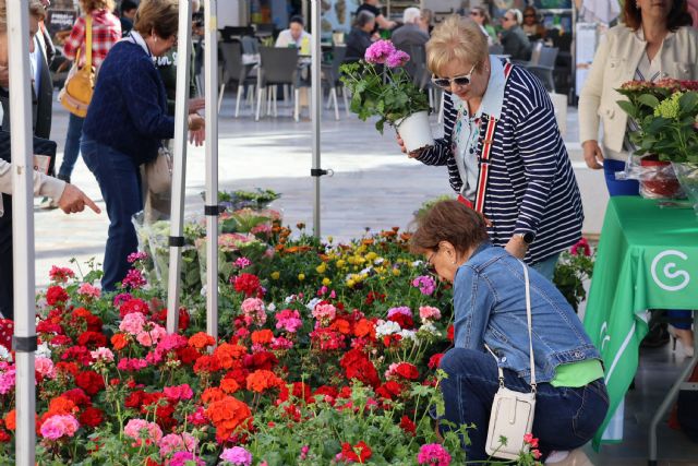 La Junta Local de la Asociación Española contra el Cáncer celebra una venta solidaria de macetas en San Pedro del Pinatar - 3, Foto 3