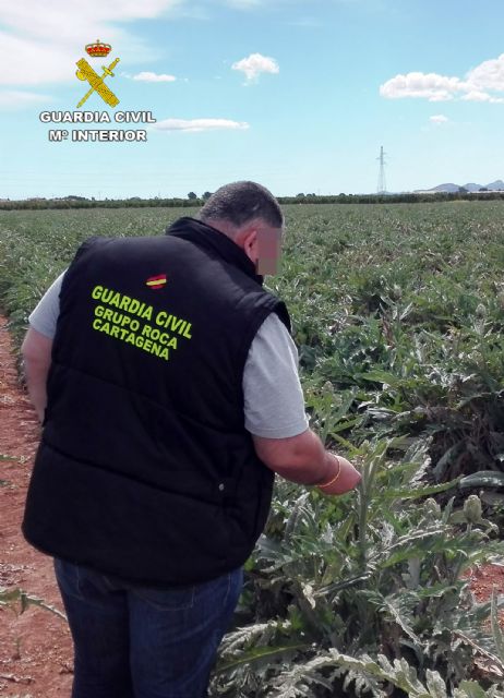 La Guardia Civil detiene a una docena de personas por la sustracción de productos y materiales agrícolas - 2, Foto 2