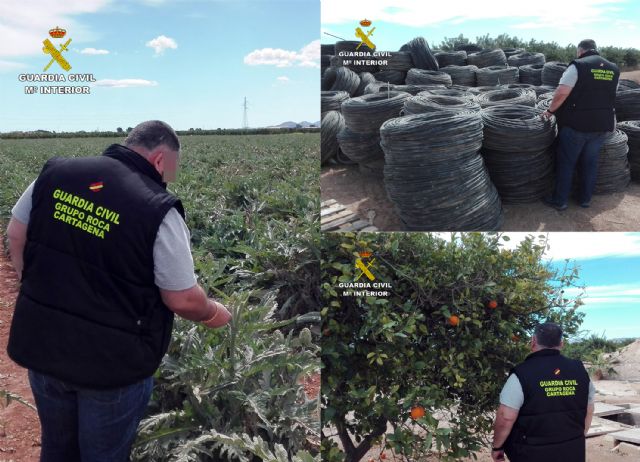 La Guardia Civil detiene a una docena de personas por la sustracción de productos y materiales agrícolas - 3, Foto 3