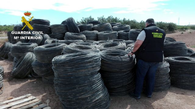 La Guardia Civil detiene a una docena de personas por la sustracción de productos y materiales agrícolas - 4, Foto 4