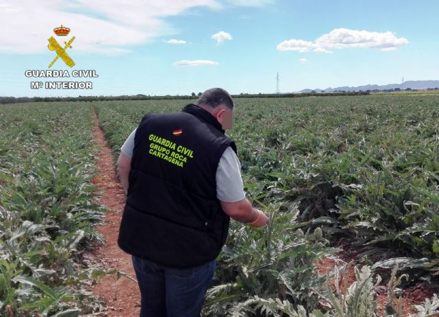 La Guardia Civil detiene a una docena de personas por la sustracción de productos y materiales agrícolas - 5, Foto 5