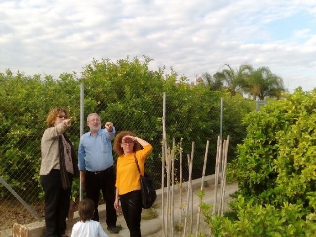 Ahora Murcia: Es vergonzoso que Corchón se negara a firmar el decreto de paralización de las obras de las torres de alta tensión en Nonduermas - 1, Foto 1